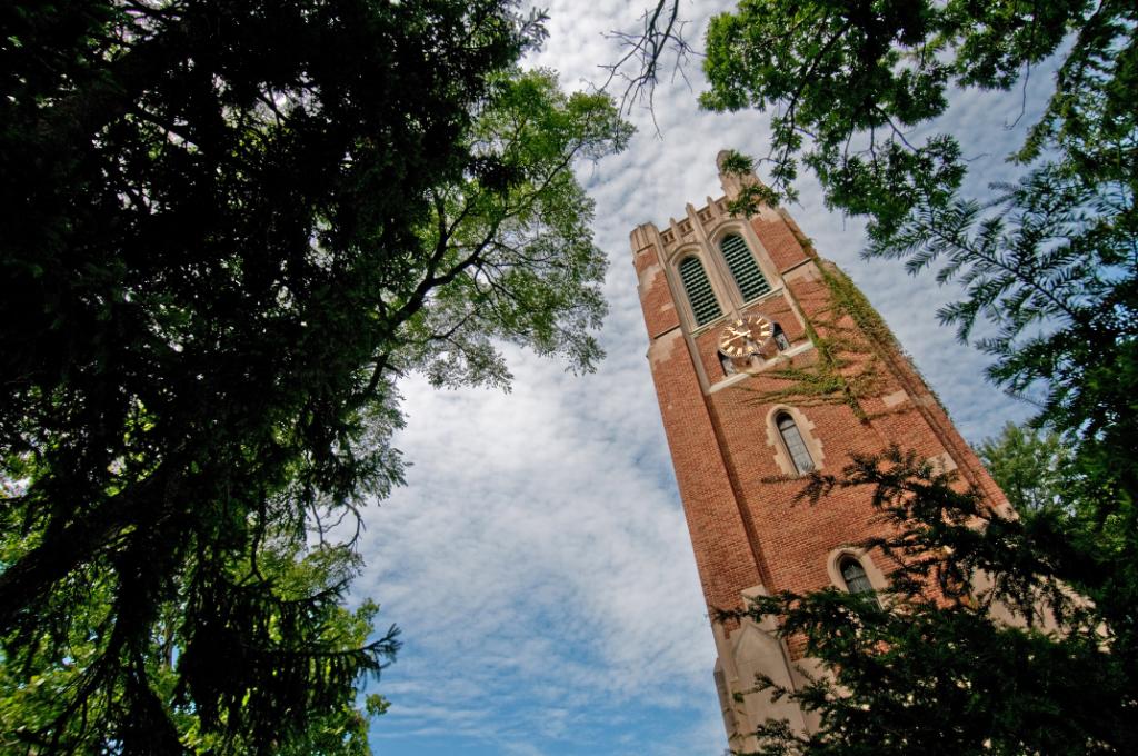 Majestic Tower Above Trees