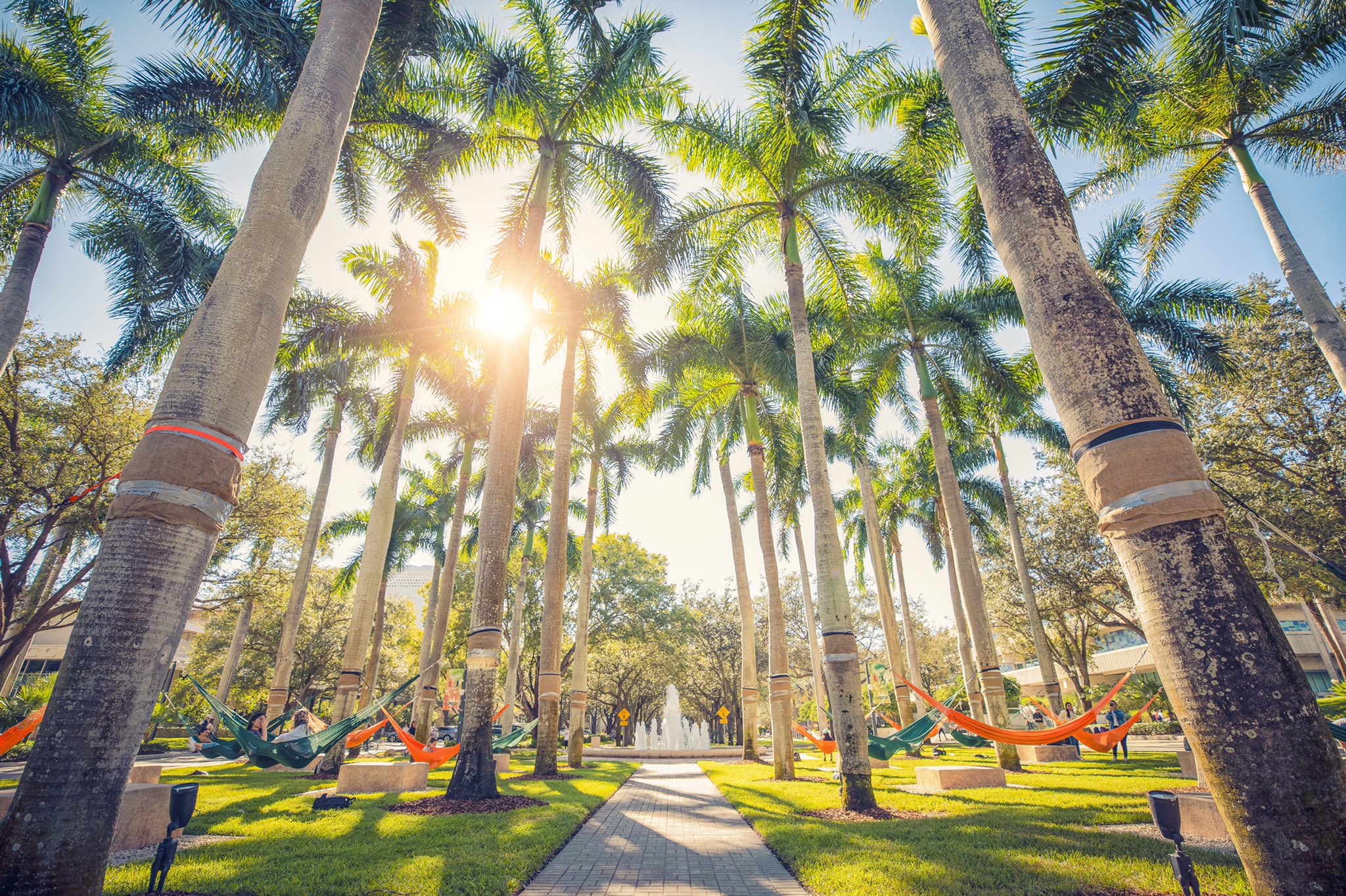 Tropical Hammock Haven