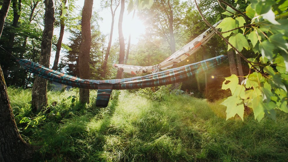 Playful Ham Pattern Party