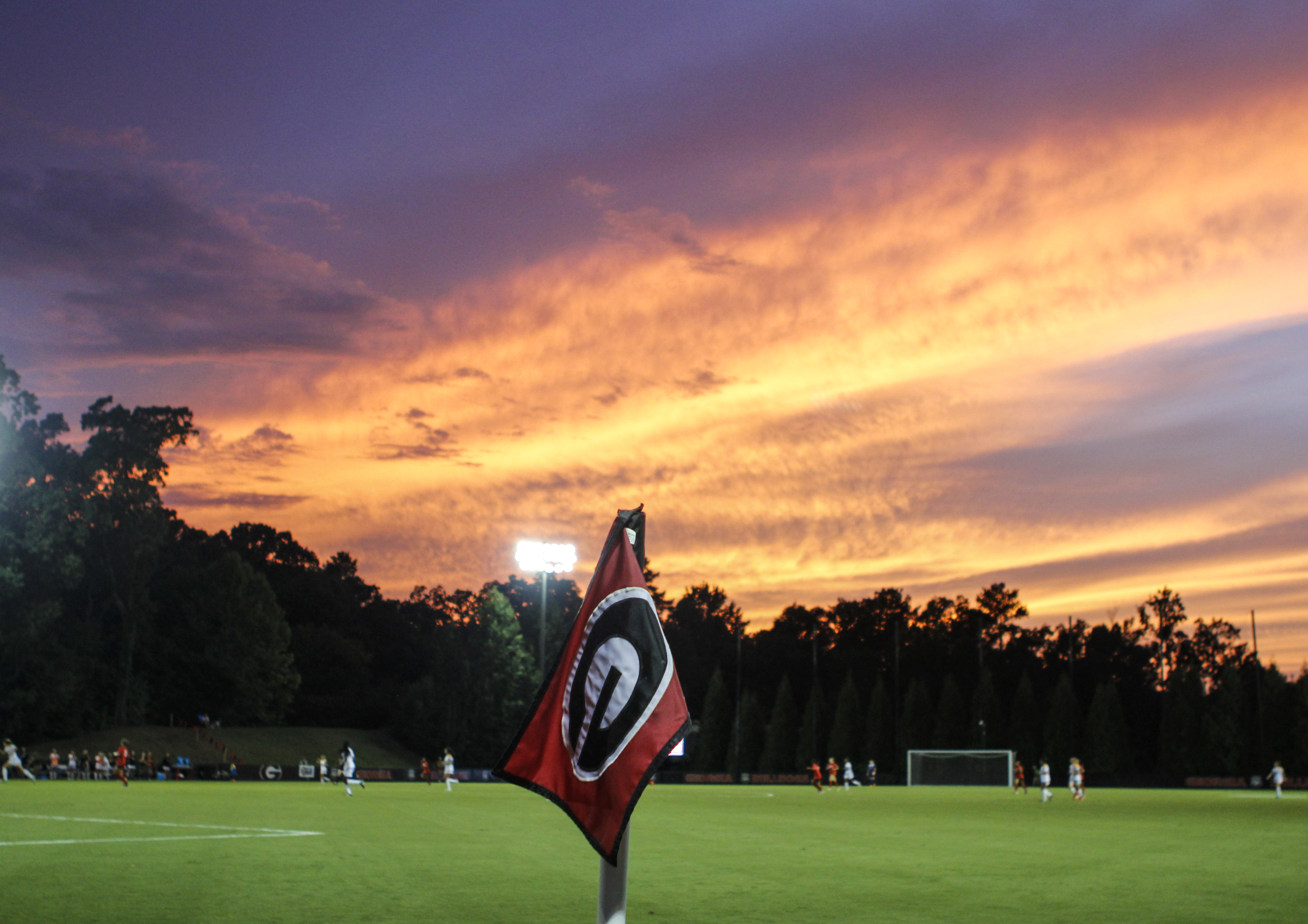 Soccer Pitch Perfection