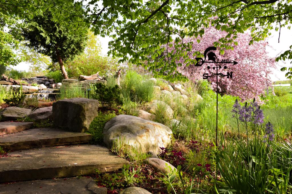 Forest Path Serenity