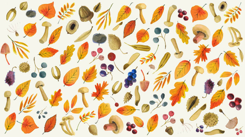 Autumn