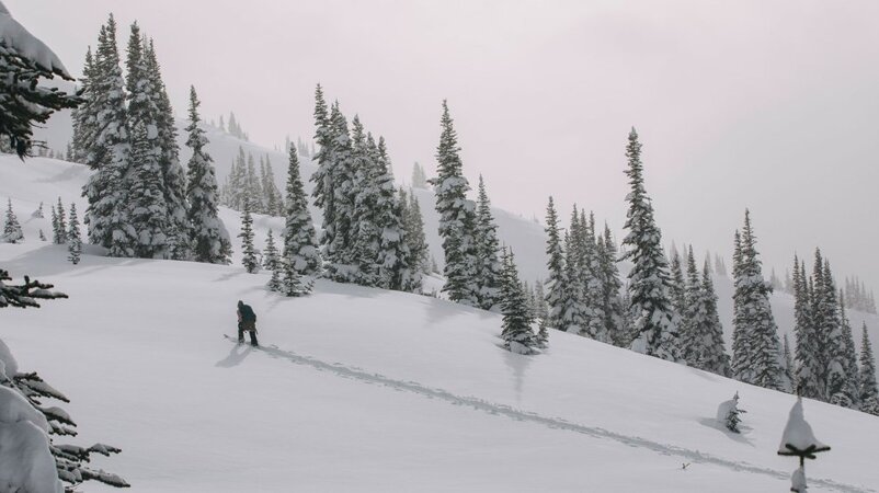 Alpine Powder Paradise