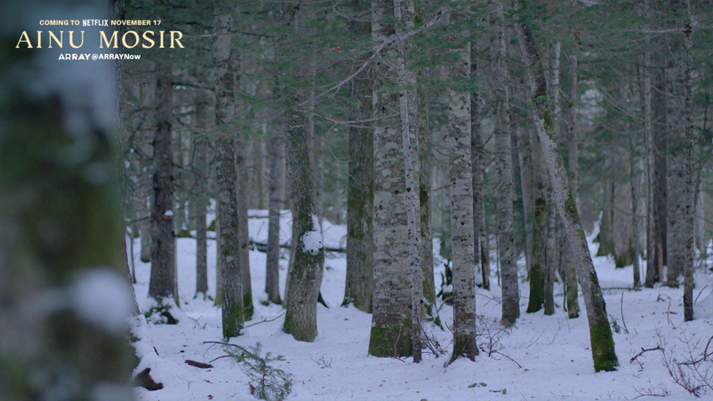 Serene Winter Forest Path